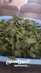  1 ملوخيه وورق عنب وفول وفاصوليا وسبانخ وخضار فروزن