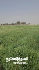  15 للبيع قطعة أرض 3.8 دونم في اللبن القليب قرب مشروع اعمار من المالك مباشره