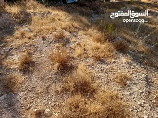  18 قطعة أرض مميزة للبيع  -ضاحية الحمر الراقية -عمان الغربية