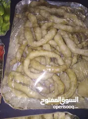  24 طعام تواصي بيتي