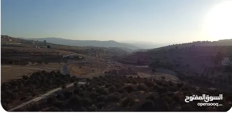  6 ارض  3 دونمات  ونصف   للبيع في اجمل مناطق جرش عنيبه حوض الحميدي بسعر لقطه  باقل من سعر المنطقه