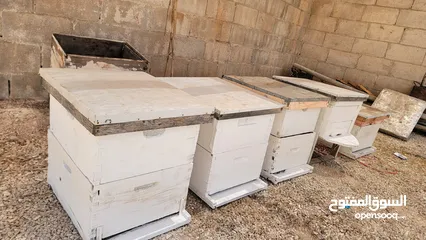  2 صناديق خلايا نحل مستعمل