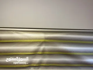  2 برادي زيبرا