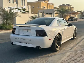  2 Ford Mustang GT 2004 - VCC Papers