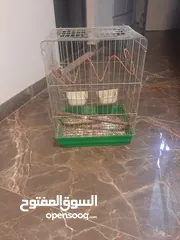 1 قفص عصافير للبيع