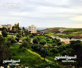  10 شقق مفروشه فخمه للايجار