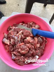 3 بسم الله جذار ذبح جميع الأضاحي خرفان عبور جدي نعاج تيوس