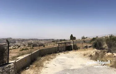  3 مزرعة للبيع في السلط