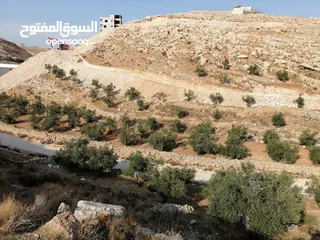  1 ارض للبيع جناتا