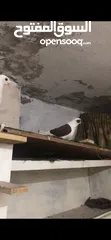  1 حمام للبيع  بربريسي.