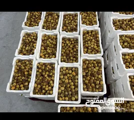  4 تمور روثانة المدينه