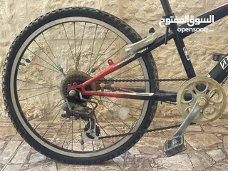  10 بسكليتين للبيع  في اربد بسعر مغري جدا