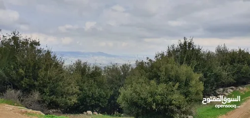  3 زي 1600 م منطقة حرجيه