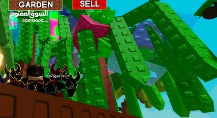  2 حسب بلوكس بمقبل  روبوكس
