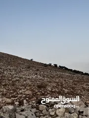  15 تملك الان فرصة العمر قطعة ارض من اراضي غرب عمان مطلة على فلسطين و الاغوار و البحر الميت و سد الكفرين