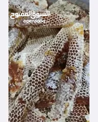  27 مناحل بروق الجزيرة لبيع العسل العماني مقابل وكاله تويوتا البريمي على الشارع العام