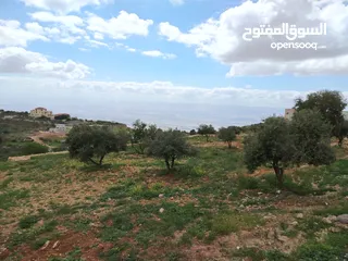  15 2300 م السلط المغاريب قطعة ملوكية تصلح ل فيلا او مزرعة اطلالة ع الغرب و جبال فلسطين