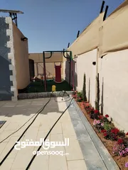  12 شاليه للايجار للتواصل