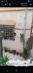  7 عماره للبيع بالزرقاء حي معصوم بجانب مدرسه المغيره