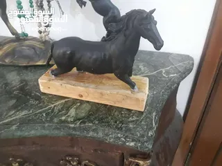  23 مناظر حيوانات للبيع بسعر مغري