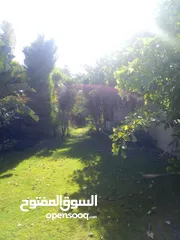  3 فيلا استاند الوان في مراسي اريزو مع إطلالة على البحيرة وحمام السباحة