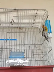  4 بندوق مسمع حسون للبيع
