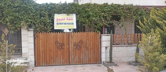  2 شقة للبيع- كاش أو أقساط