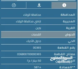  2 فرصة استثمارية ذهبية: 3 قطع أراضٍ متجاورة للبيع في بيرين القصبات بمساحة تفوق دونم ونصف