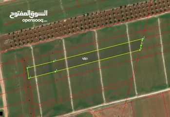  1 قطعة ارض للبيع اربد - حوارة  - قرب اسطبلات الجمال للفروسية - الاصيلة الوسطى