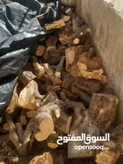  14 حطب للبيع حطب زيتون