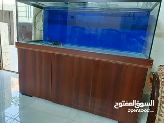  2 حوض سمك متر ونص مع طاوله. بحال الوكاله