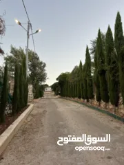  4 ارض للبيع في الأردن - عجلون