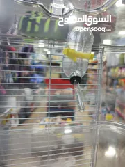  3 قفص هامستر طوابق مميز تركي