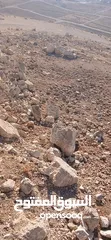  10 قطعه ارض للبيع