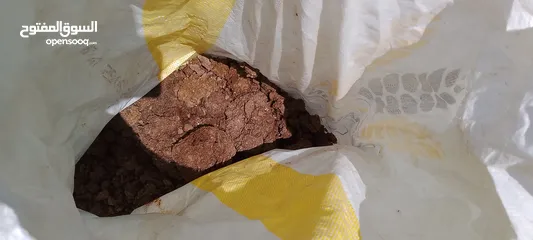  1 Organic compost for plants and garden السماد العضوي للنباتات والحديقة