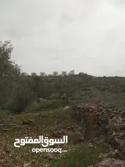  8 Land for Sale – Marda, Salfit (13.8 Donums)  أرض للبيع – مردة، سلفيت (13.8 دونم)