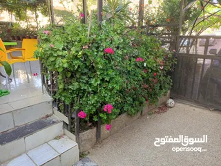  6 شقة ارضية للبيع
