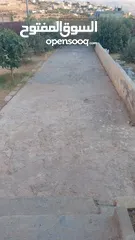  4 منزل طابقين في منقطة شعنب زبود   للبيع