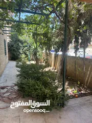  17 شقة مفروشة