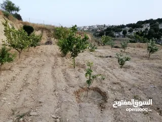  14 مزرعة في اربد كفر اسد للبيع