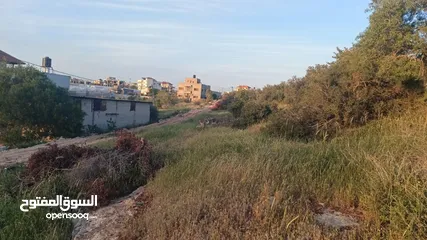  6 عقار للبيع