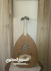  2 عود شامي احترافي للبيع