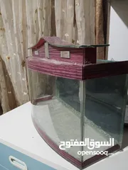  6 حوض سمك كبير