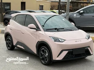  2 ‎بي واي دي سيجول - 2023 - BYD Seagull