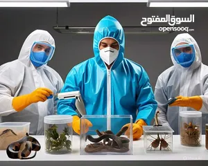  7 مؤسسة شمس المنار الذهبية لمكافحة الحشرات والقوارض
