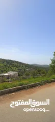  9 مزرعه مع بيت راقيه راس منيف موقع مميز مطله و بسعر مغري جدا
