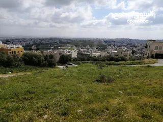  4 ارض للبيع في أربـــــــــــــــــــد ــ ناطفه