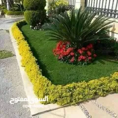  12 تنسيق حدائق