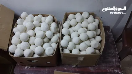  12 جميد بلدي جميد كركي سمنه بلدي جبنة غنم