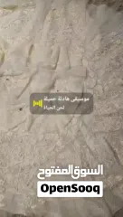  2 فستان زواج